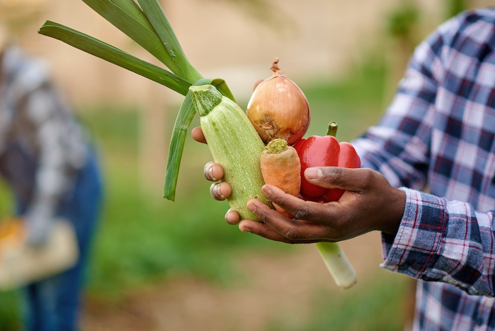Création d'une franchise BIO : un marché en plein essor