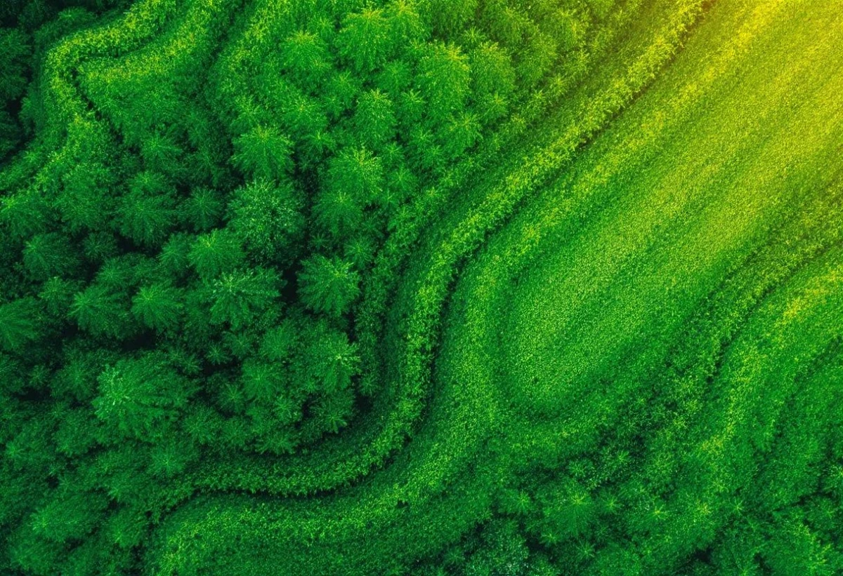 Révolutionnez votre portefeuille : L'intégration ESG, clé de l'investissement durable et performant